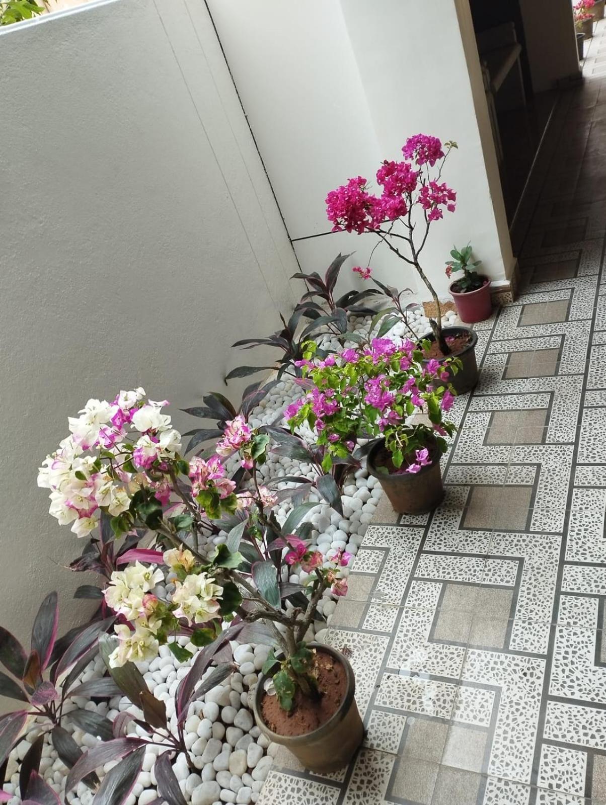 Annai Residency Hotel ฮอร์นีเบ็ชวา ภายนอก รูปภาพ
